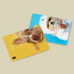 카드 스티커